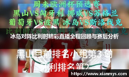 冰岛对阵比利时精彩直播全程回顾与赛后分析