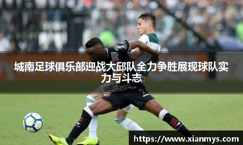 城南足球俱乐部迎战大邱队全力争胜展现球队实力与斗志